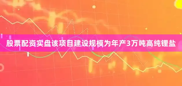 股票配资实盘该项目建设规模为年产3万吨高纯锂盐
