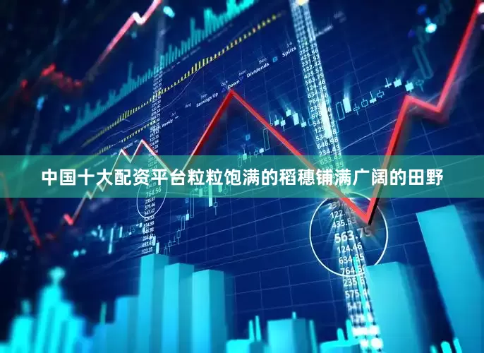 中国十大配资平台粒粒饱满的稻穗铺满广阔的田野